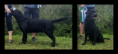 /album/kuvagalleria/y-filemon-png/